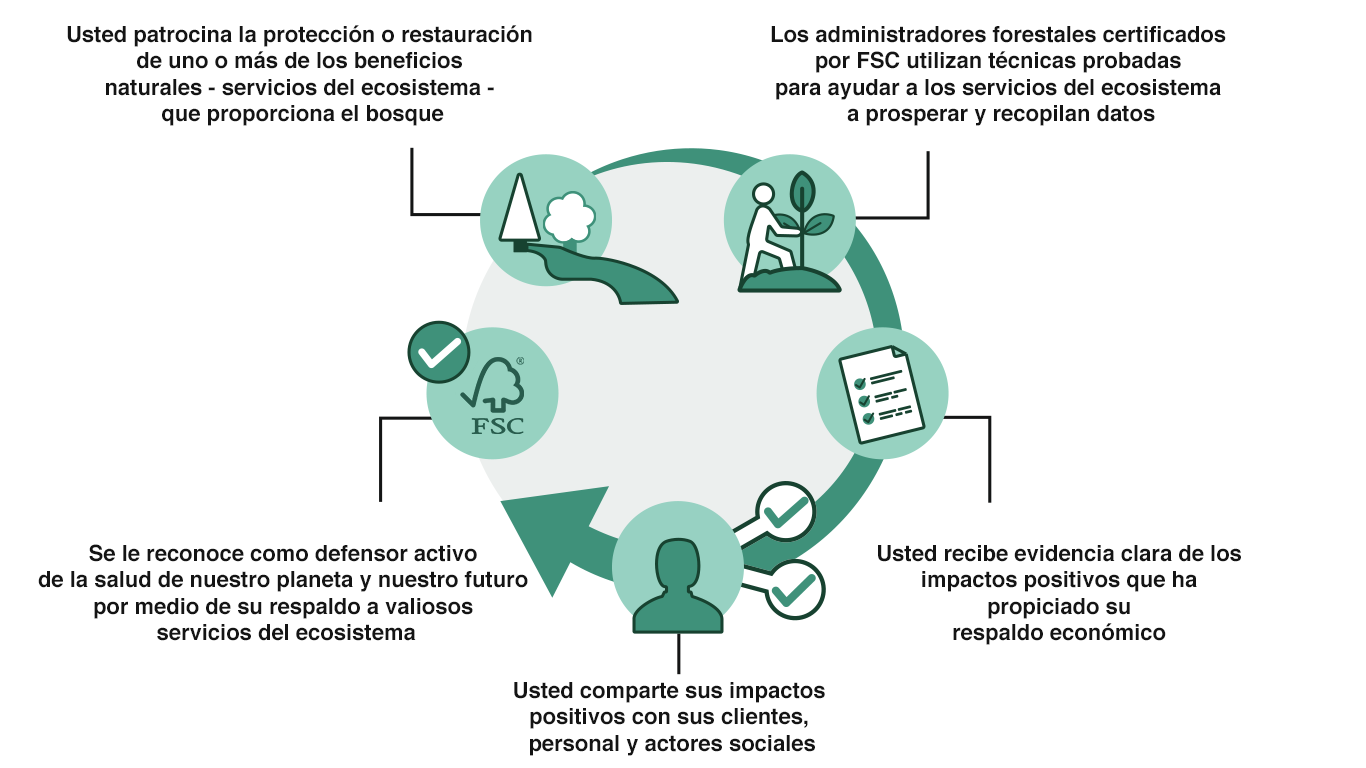 Infografia ES