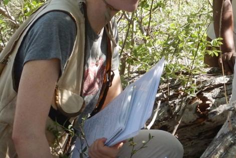 Entrenamiento para ser Auditor Líder FSC