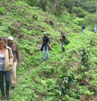 Prueba de Campo