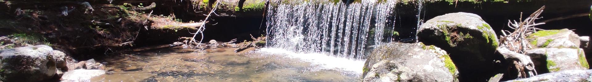 Topia