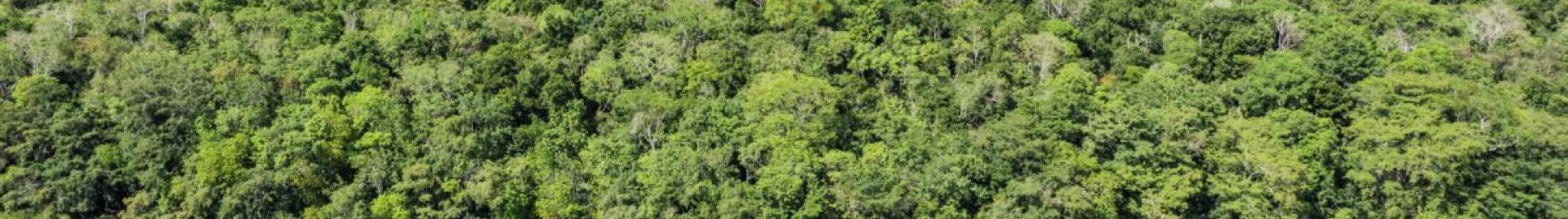 Aérea Nuevo Becal